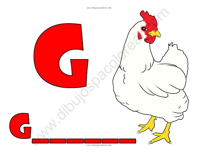 Gallina letra G abecedario dibujo a color y para colorear